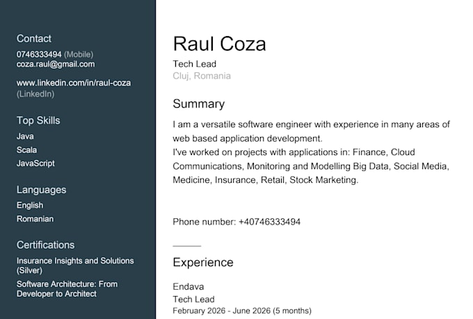 fix bugs or develop java applications
